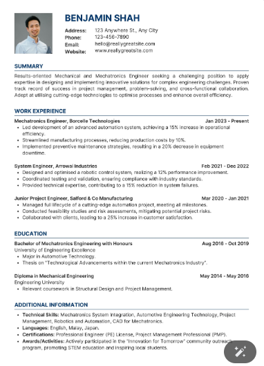 Professional CV Sample 22